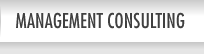 Management Consulting